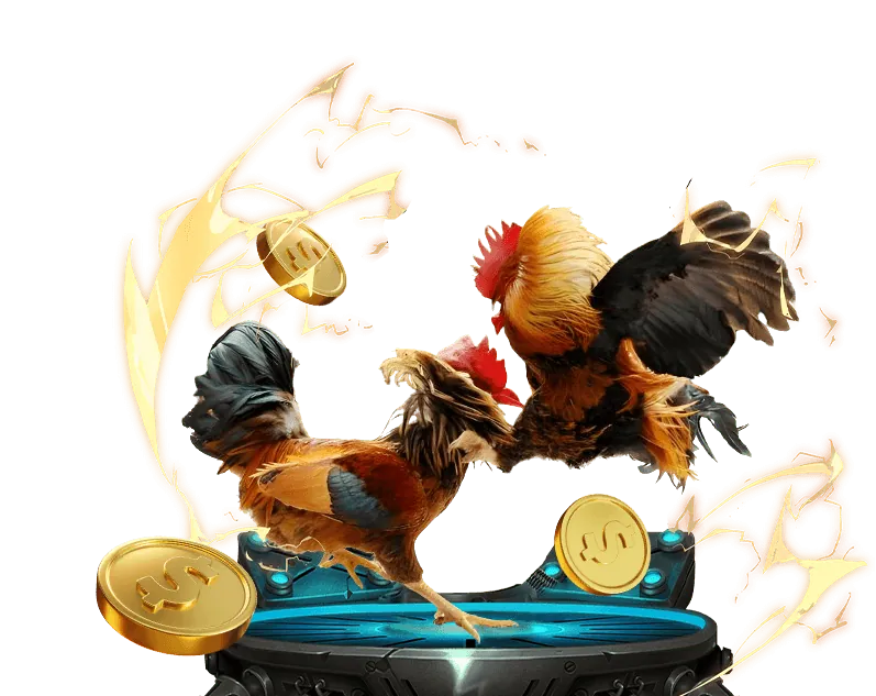 Cá cược quần vợt